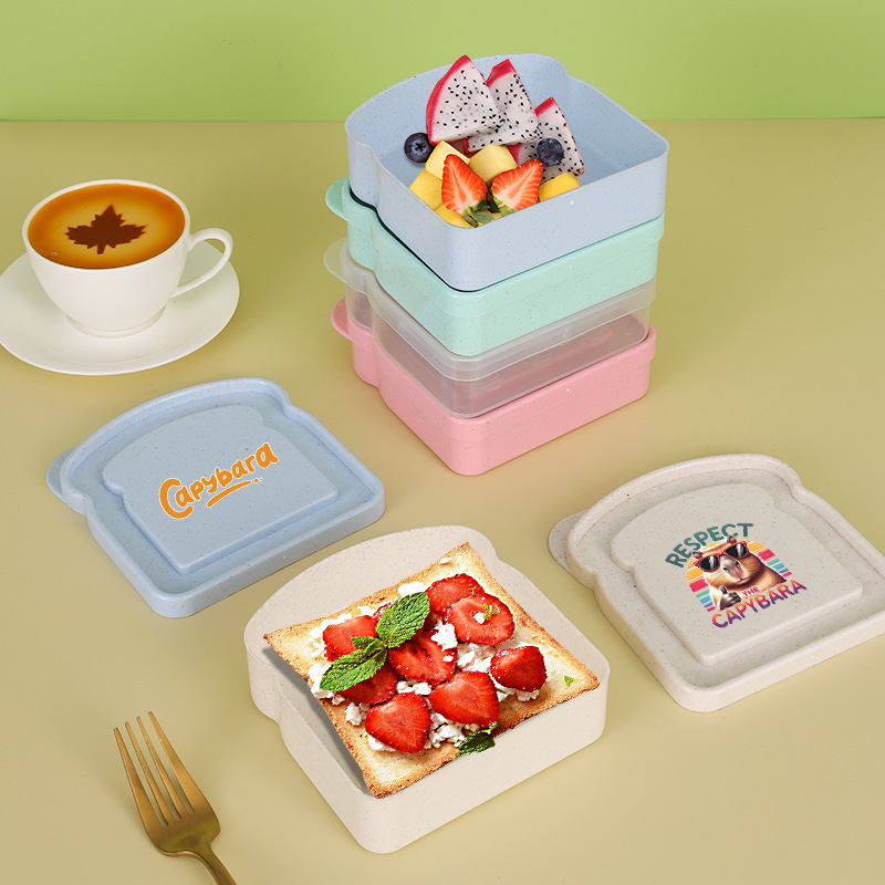 Pojemnik na kanapki z kapibarą – Home Cooking Food recenzja i cena